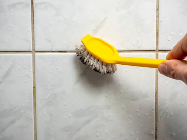 Best Mold Cleaning Services  in Crystal Springs, MS