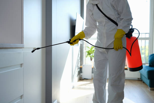 Best Local Mold Removal Service  in Crystal Springs, MS