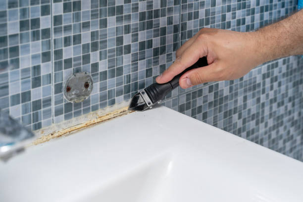 Trusted Crystal Springs, MS Mold Removal Experts