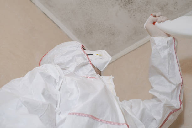 Office Mold Removal Services in Crystal Springs, MS